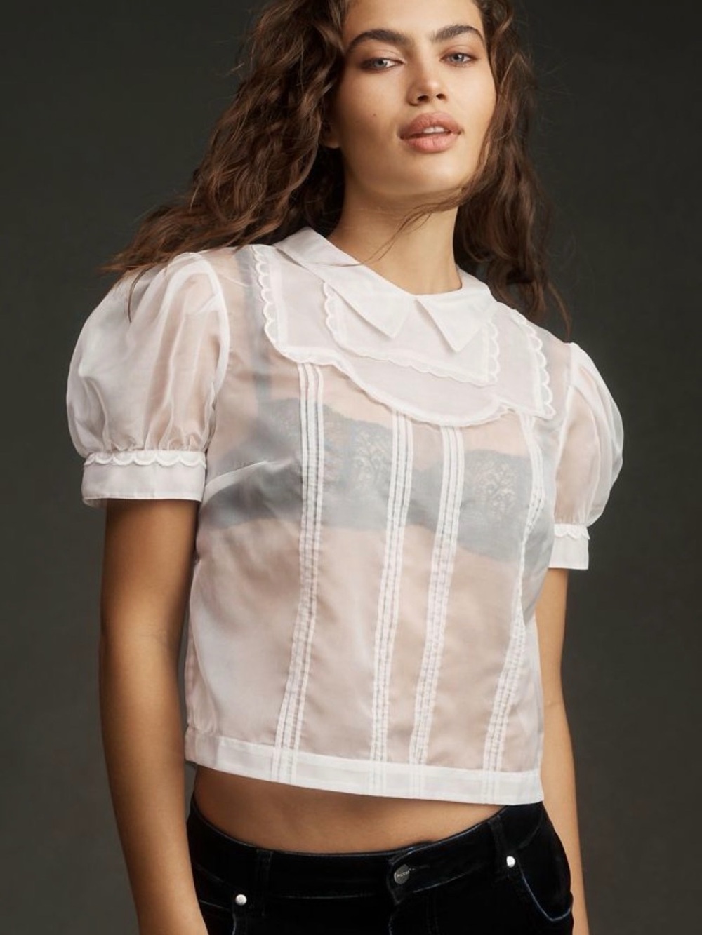 Maeve by Anthropologie White Sheer Puff Sleeve Bib Blouse Size Small